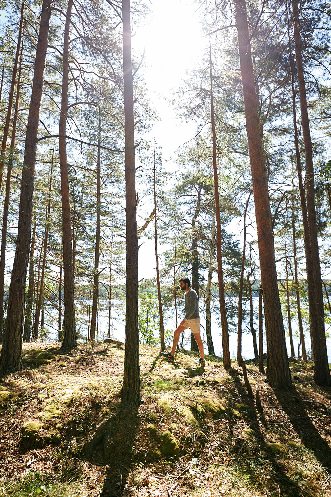 Plötzlich ist man ganz allein unter Bäumen; Foto: Jonas Ingmann