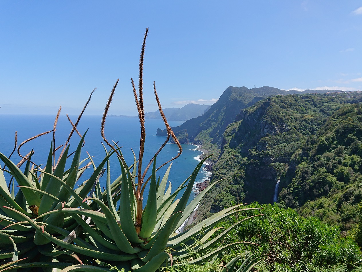 © Barbara Blunschi – Madeira – Blick über die imposante Steilküste bei Santana.