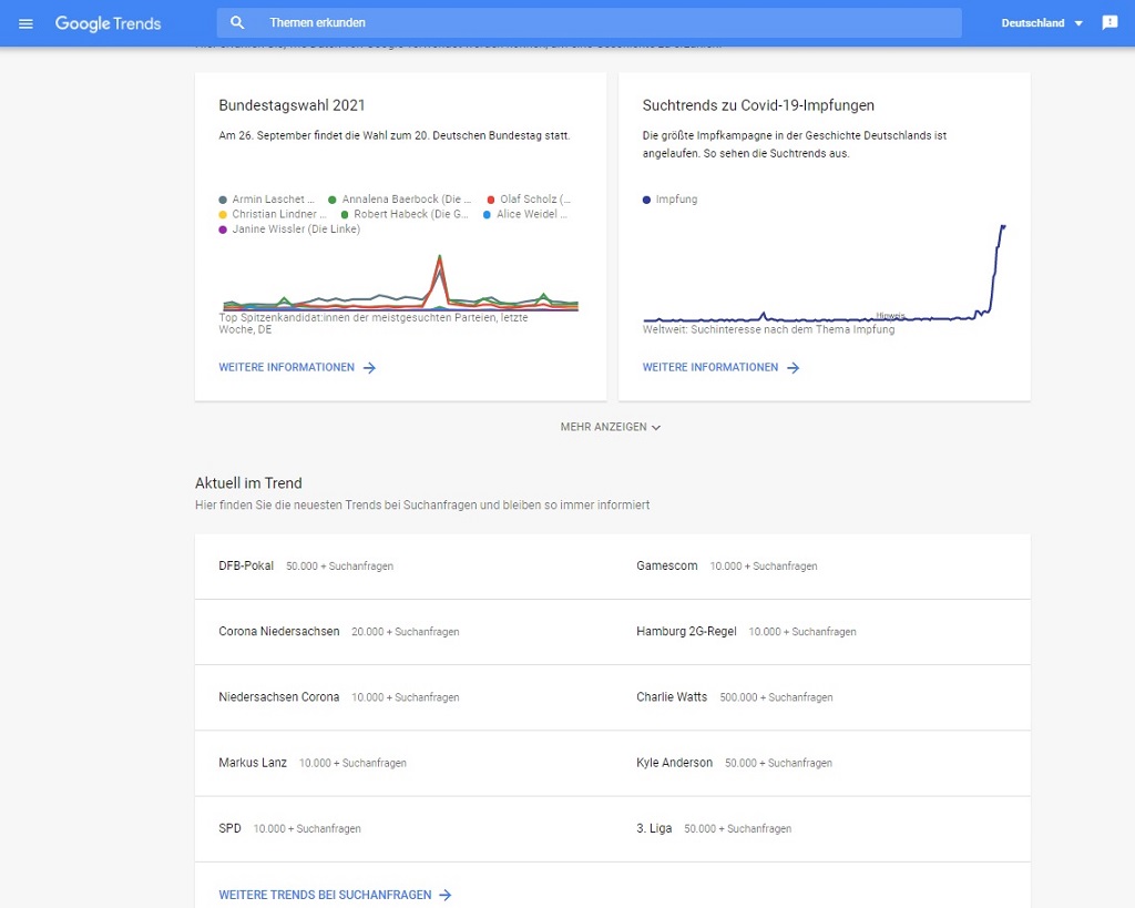 13_SEO-Suchmaschinenoptimierung-Screenshot-Google-Trends